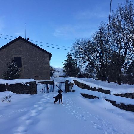 Mountain House/ Serra Da Estrela Пеньяс-да-Сауде Экстерьер фото